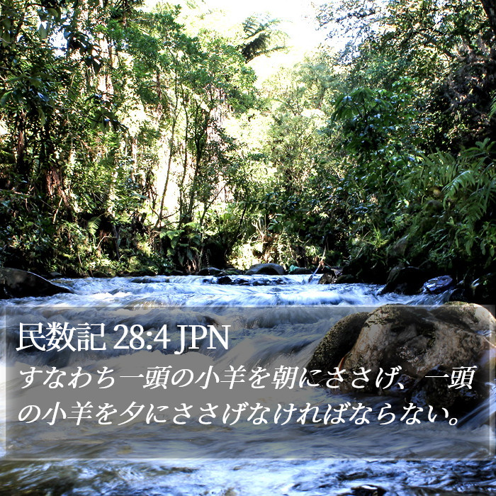 民数記 28:4 JPN Bible Study