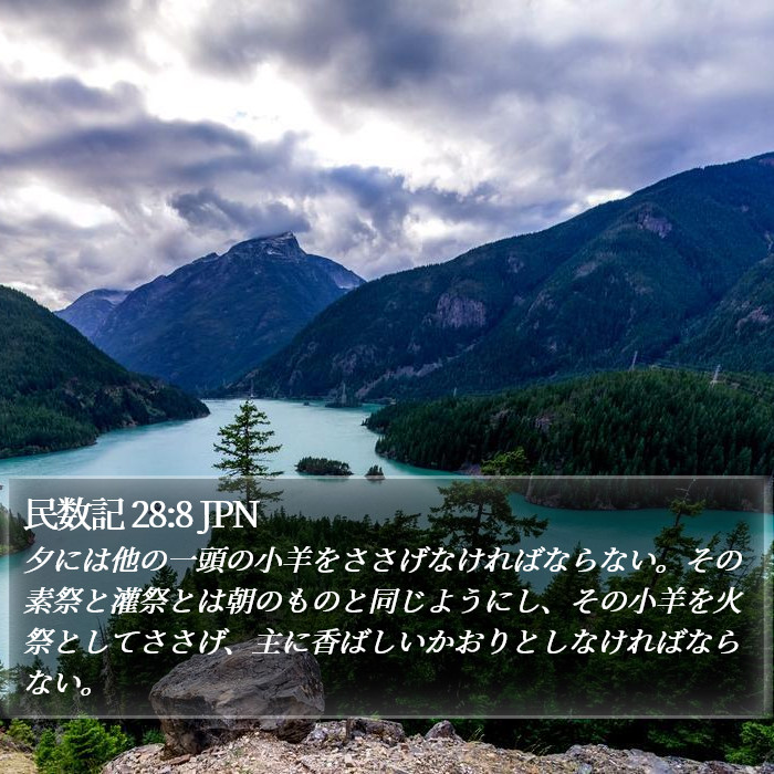 民数記 28:8 JPN Bible Study