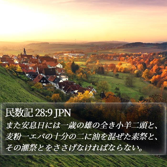 民数記 28:9 JPN Bible Study