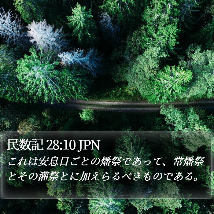 民数記 28:10 JPN Bible Study