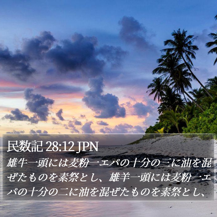 民数記 28:12 JPN Bible Study