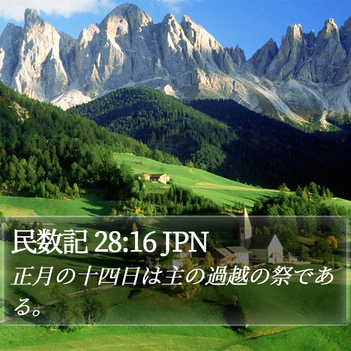 民数記 28:16 JPN Bible Study