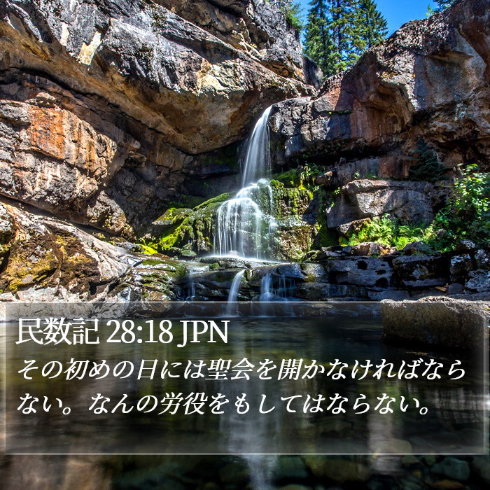 民数記 28:18 JPN Bible Study