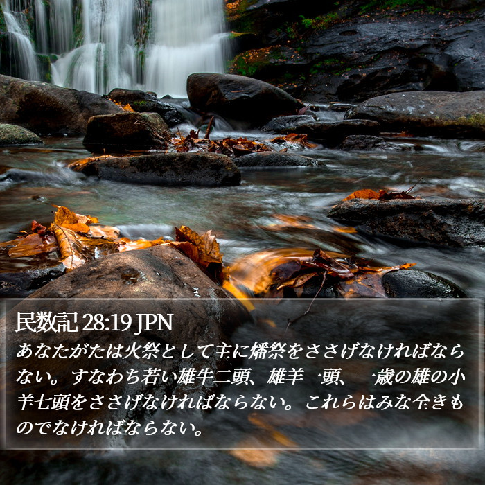 民数記 28:19 JPN Bible Study