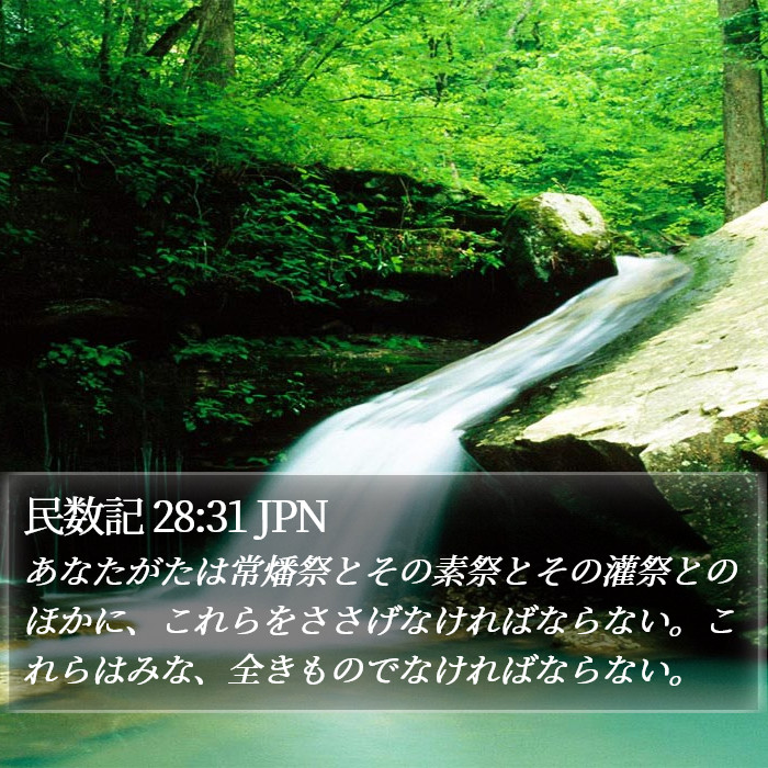 民数記 28:31 JPN Bible Study