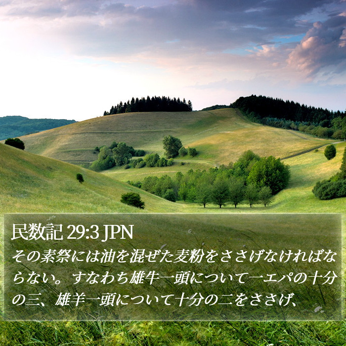 民数記 29:3 JPN Bible Study