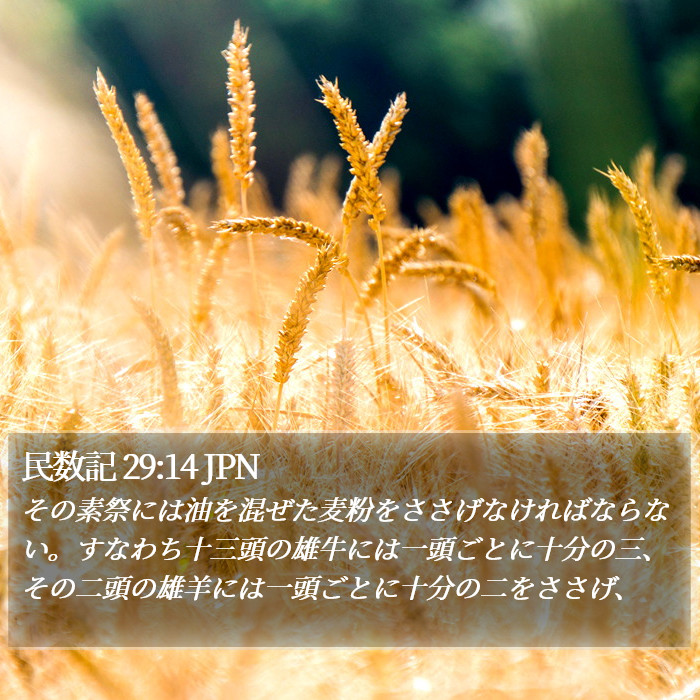 民数記 29:14 JPN Bible Study