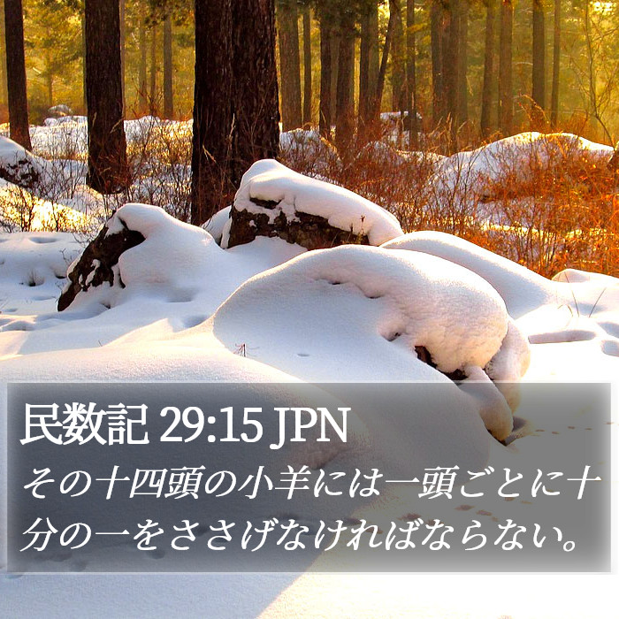 民数記 29:15 JPN Bible Study