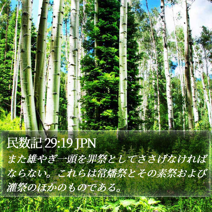 民数記 29:19 JPN Bible Study