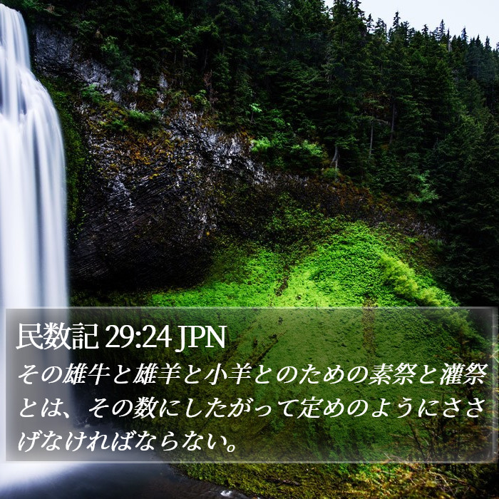 民数記 29:24 JPN Bible Study