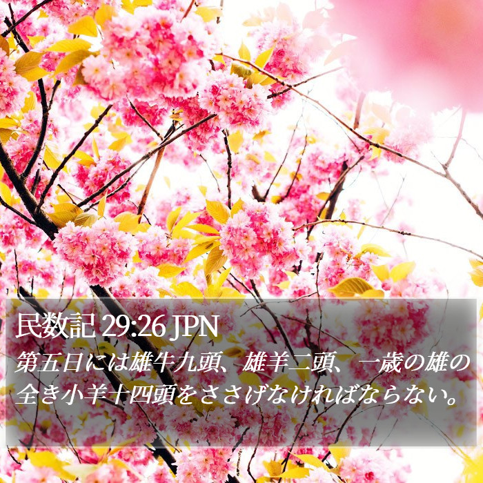 民数記 29:26 JPN Bible Study