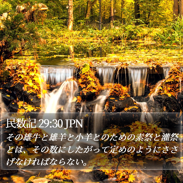 民数記 29:30 JPN Bible Study