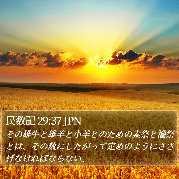 民数記 29:37 JPN Bible Study