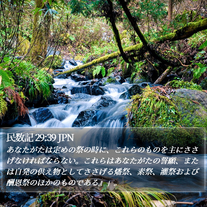 民数記 29:39 JPN Bible Study