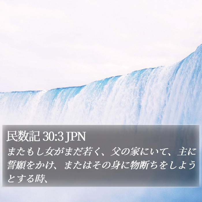 民数記 30:3 JPN Bible Study