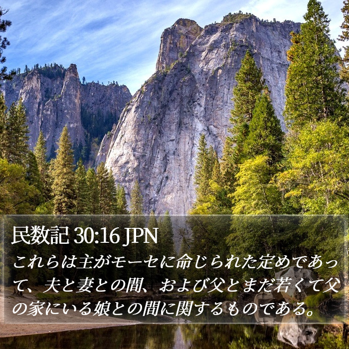 民数記 30:16 JPN Bible Study