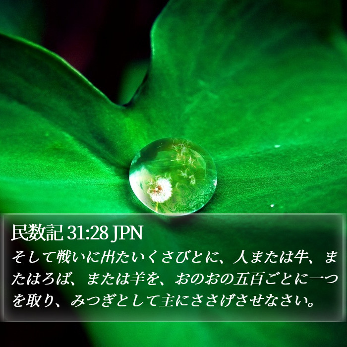 民数記 31:28 JPN Bible Study