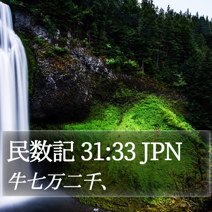 民数記 31:33 JPN Bible Study