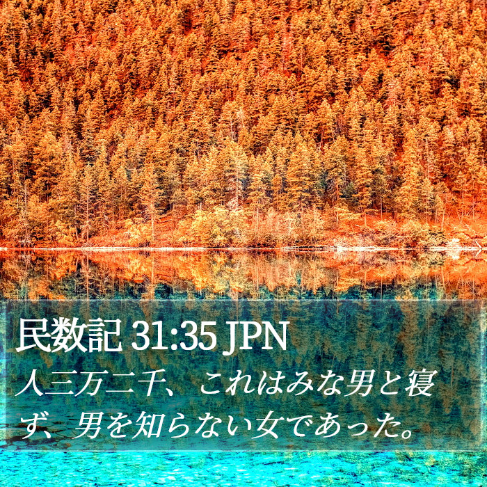 民数記 31:35 JPN Bible Study