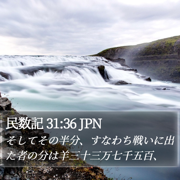 民数記 31:36 JPN Bible Study