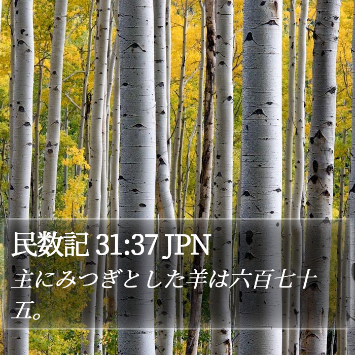 民数記 31:37 JPN Bible Study