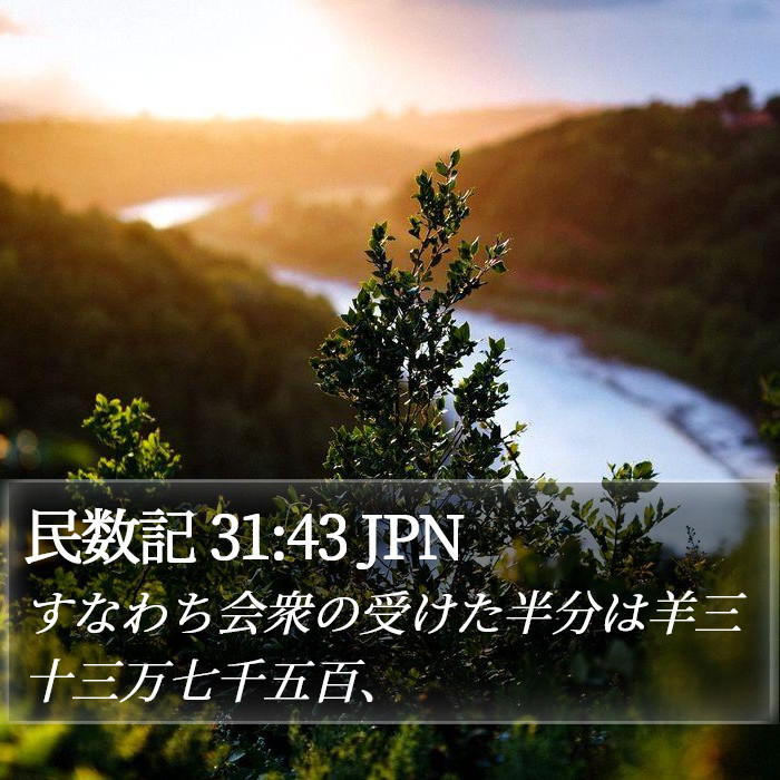 民数記 31:43 JPN Bible Study