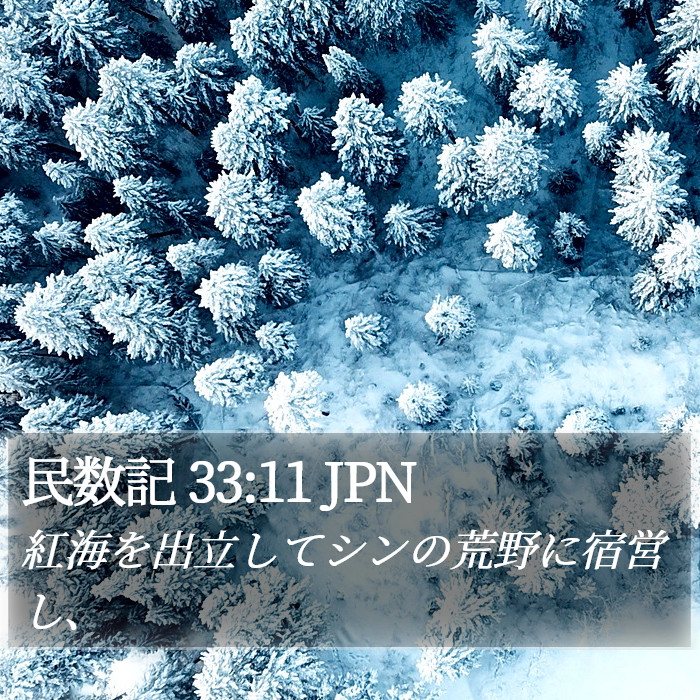 民数記 33:11 JPN Bible Study