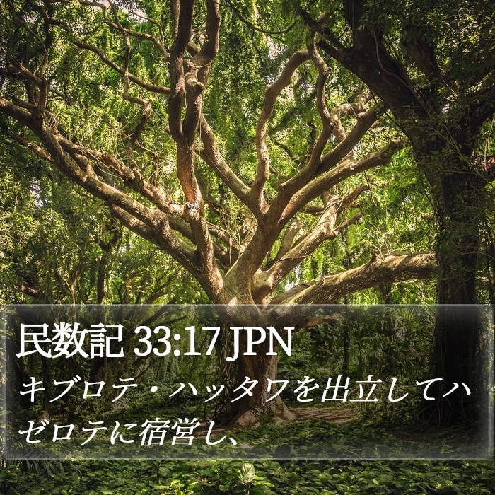 民数記 33:17 JPN Bible Study