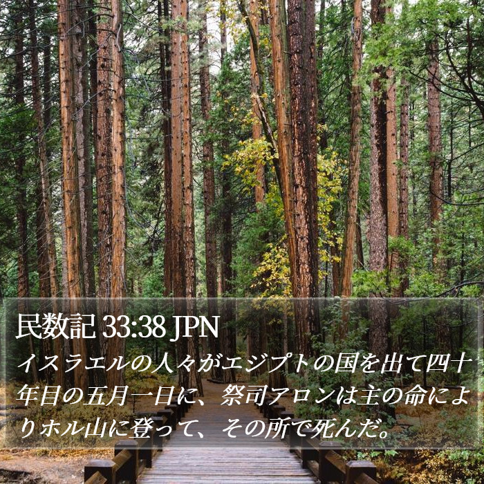 民数記 33:38 JPN Bible Study