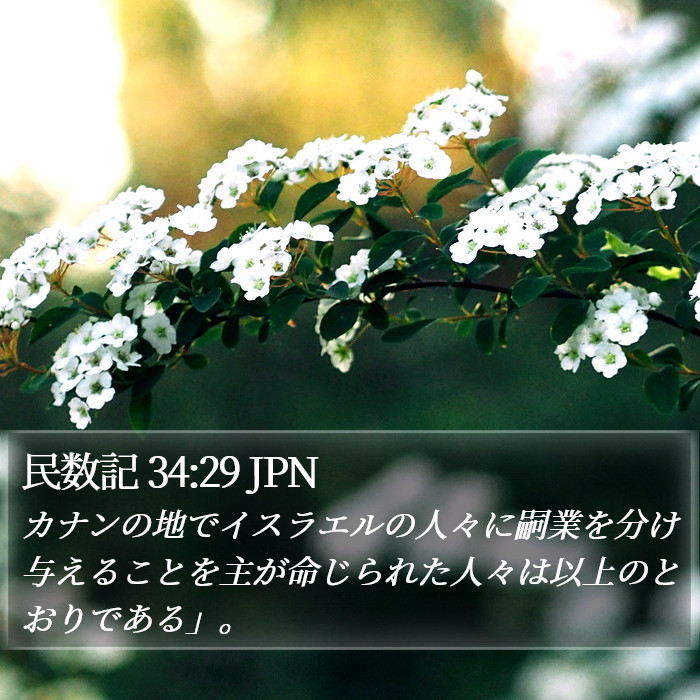 民数記 34:29 JPN Bible Study