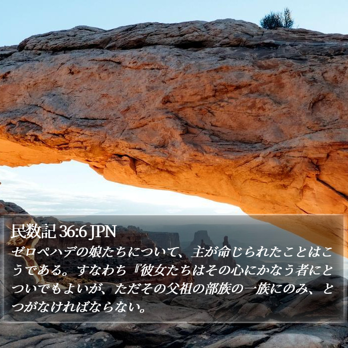 民数記 36:6 JPN Bible Study