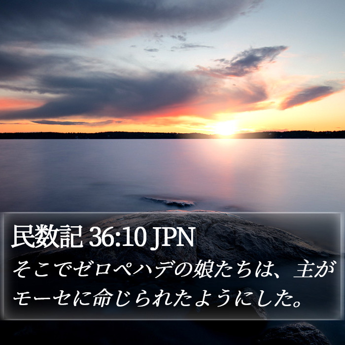 民数記 36:10 JPN Bible Study