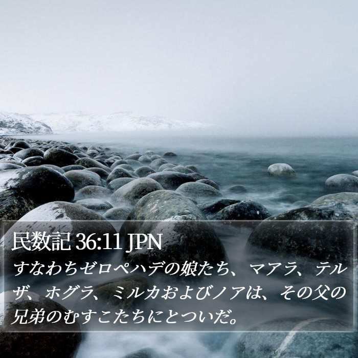 民数記 36:11 JPN Bible Study