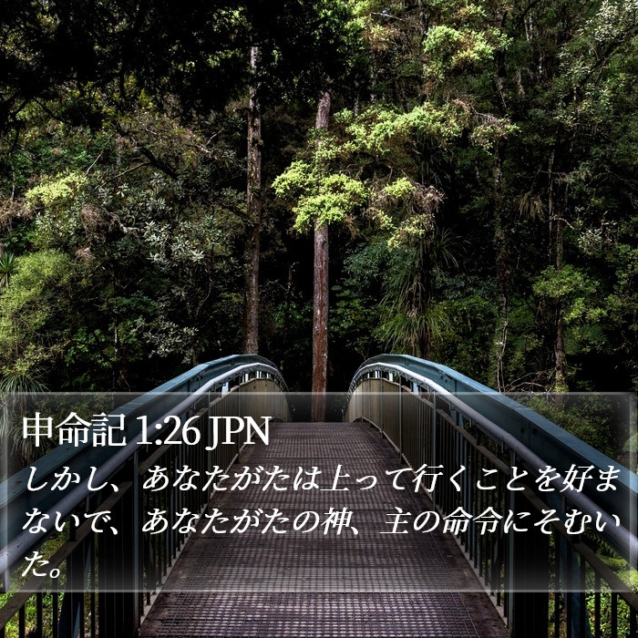 申命記 1:26 JPN Bible Study