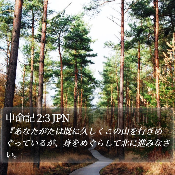 申命記 2:3 JPN Bible Study