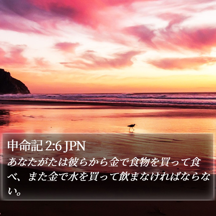 申命記 2:6 JPN Bible Study