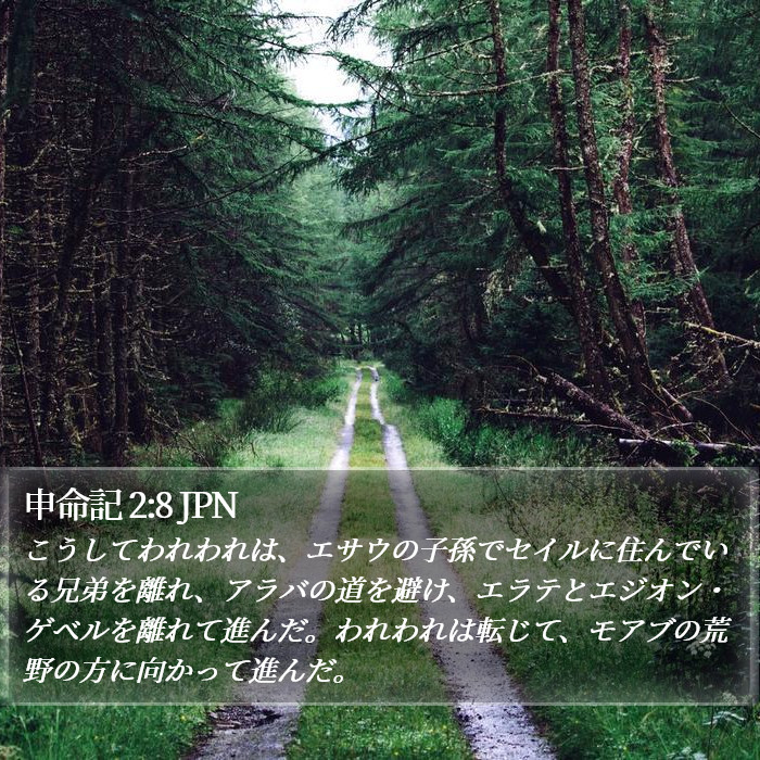 申命記 2:8 JPN Bible Study