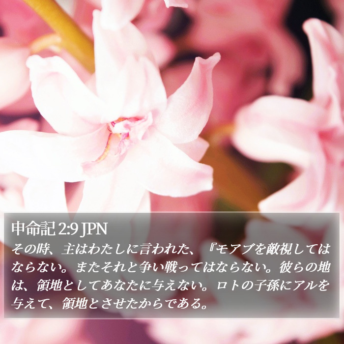 申命記 2:9 JPN Bible Study