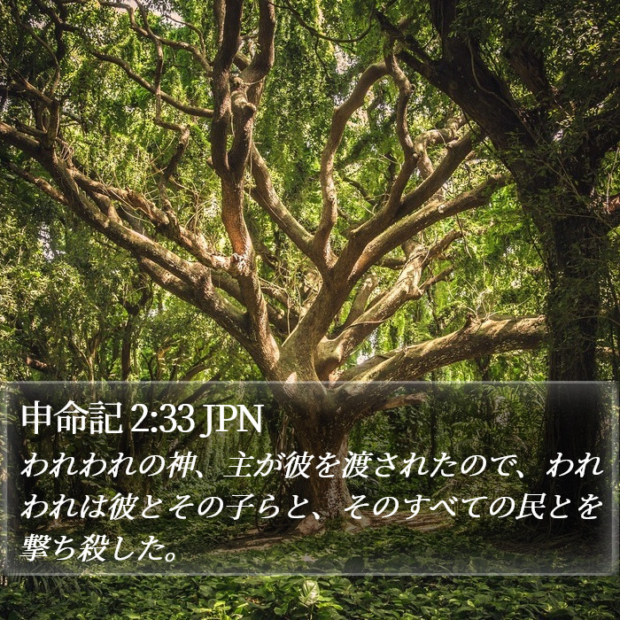 申命記 2:33 JPN Bible Study