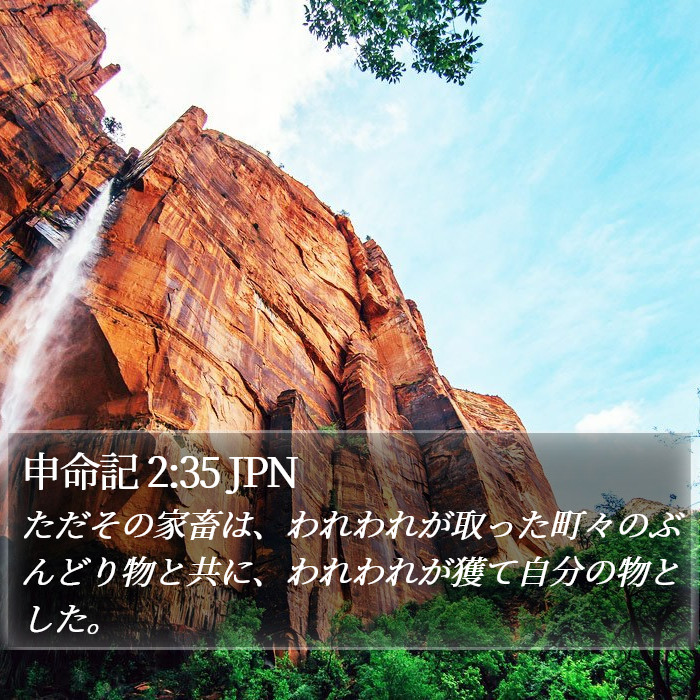 申命記 2:35 JPN Bible Study