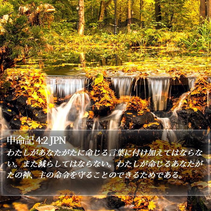 申命記 4:2 JPN Bible Study