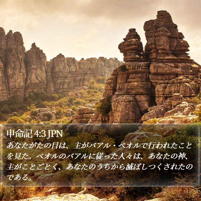 申命記 4:3 JPN Bible Study