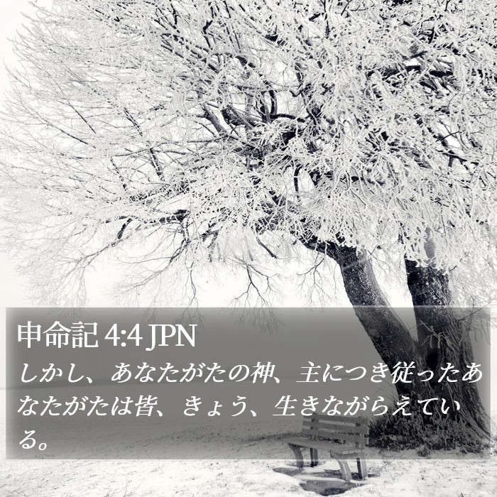 申命記 4:4 JPN Bible Study
