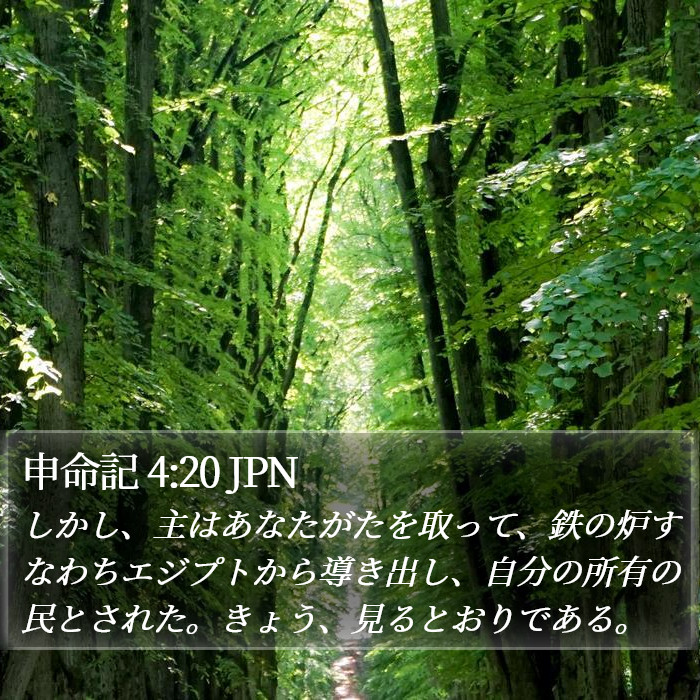 申命記 4:20 JPN Bible Study
