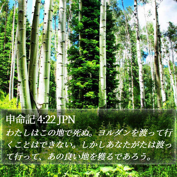 申命記 4:22 JPN Bible Study