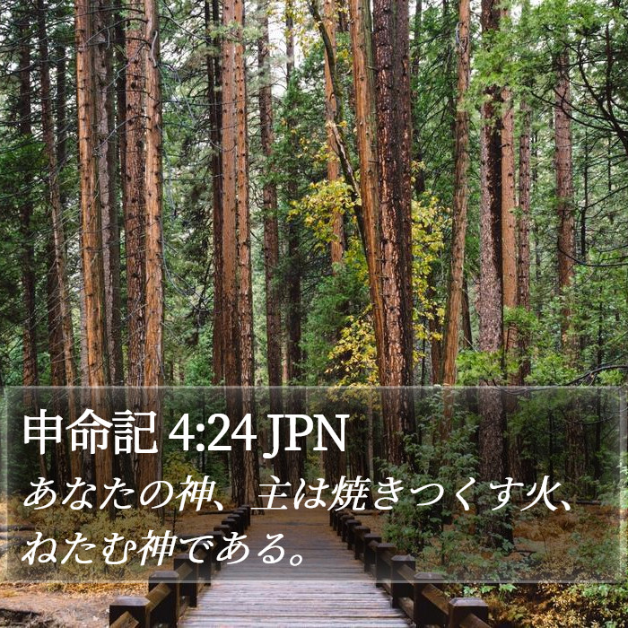 申命記 4:24 JPN Bible Study