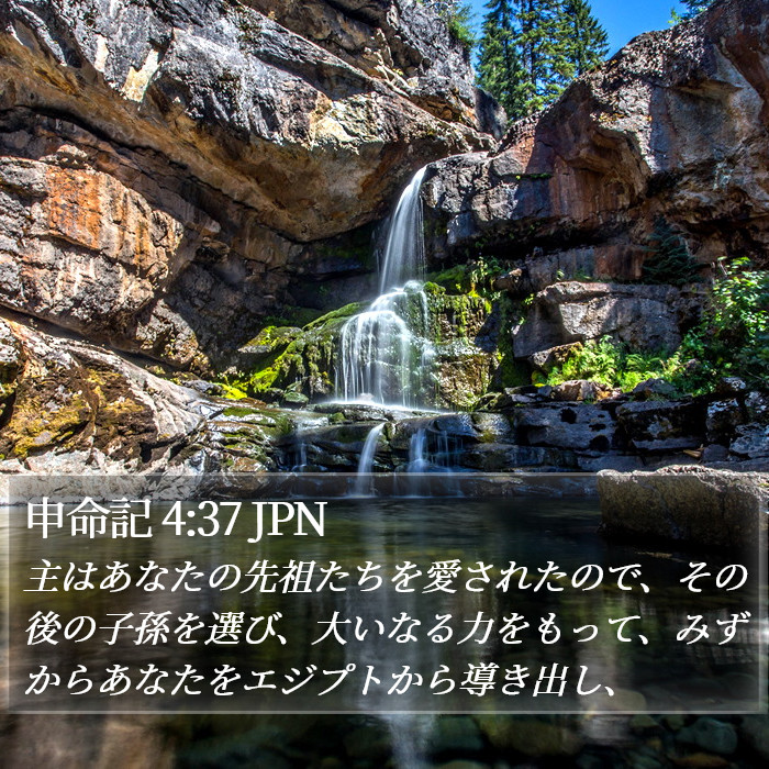 申命記 4:37 JPN Bible Study