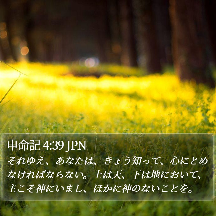 申命記 4:39 JPN Bible Study