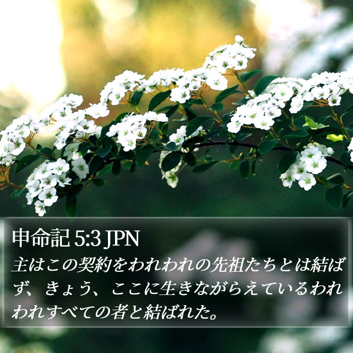 申命記 5:3 JPN Bible Study