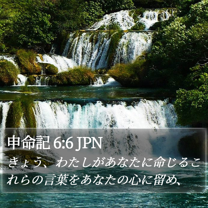 申命記 6:6 JPN Bible Study